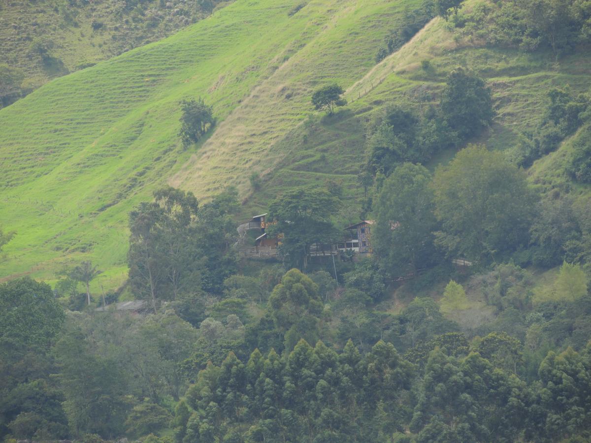 Lodge Ecorefugio Mirlas *