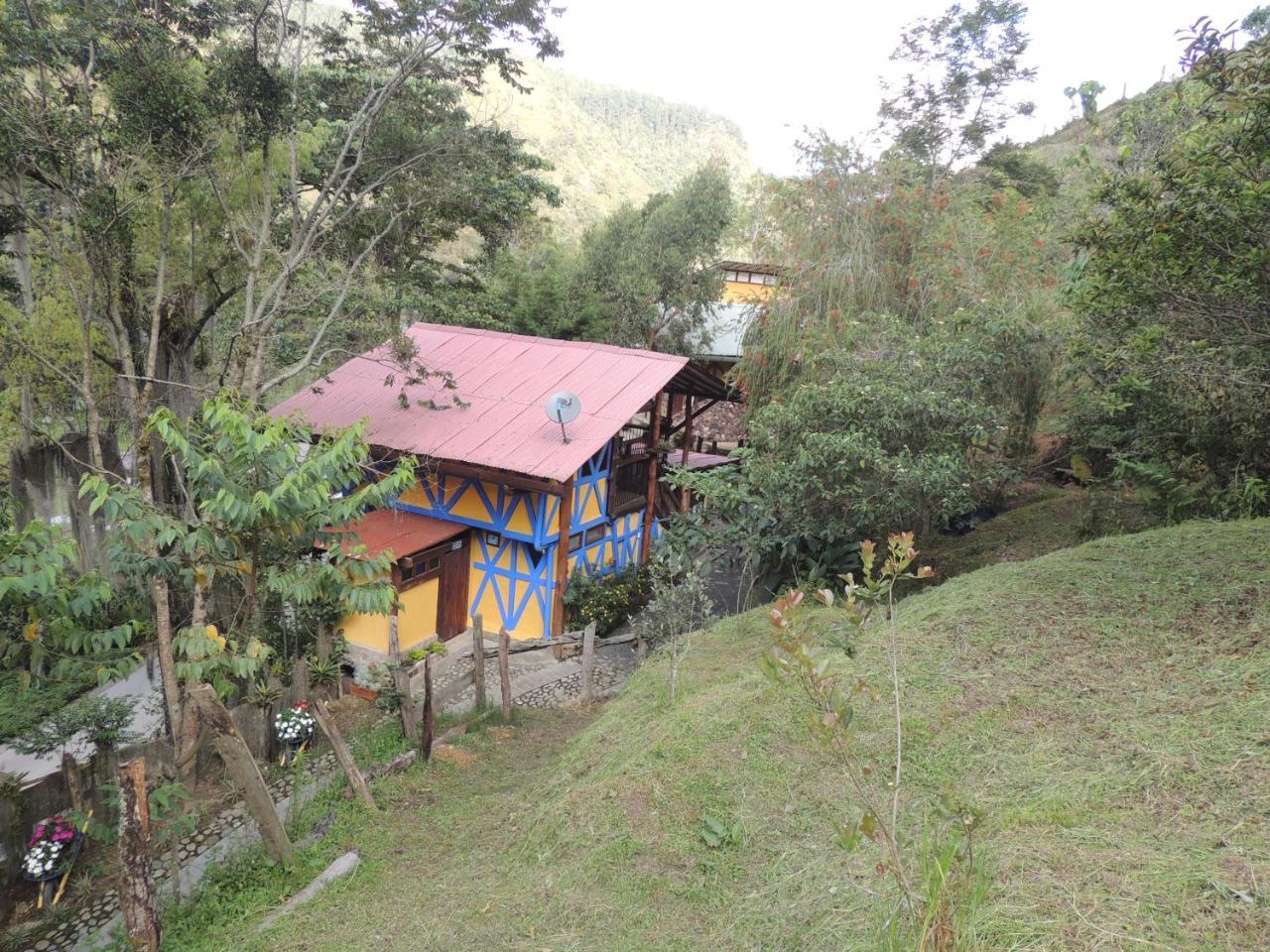 Ecorefugio Mirlas *