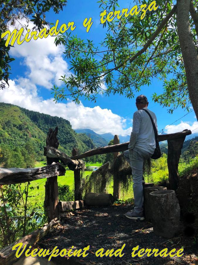 Lodge Ecorefugio Mirlas