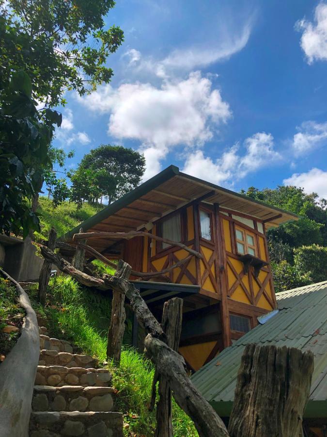 Lodge Ecorefugio Mirlas *